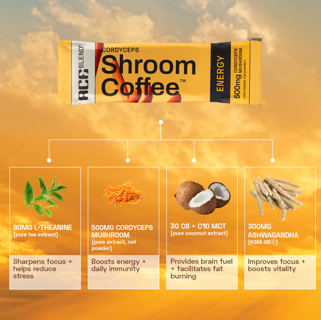 Functional Shroom Coffee Combo - Image 10