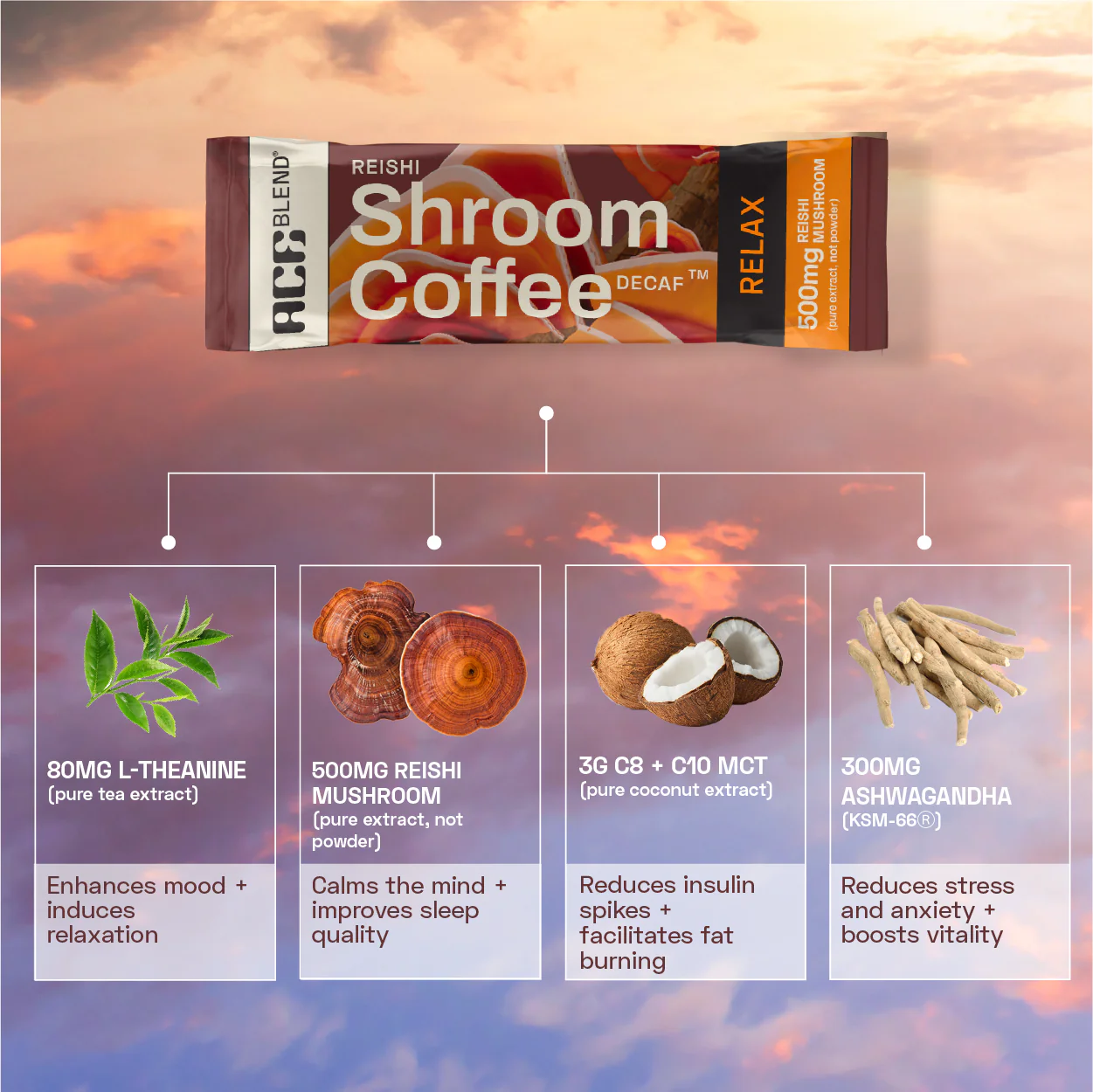 Functional Shroom Coffee Combo - Image 4