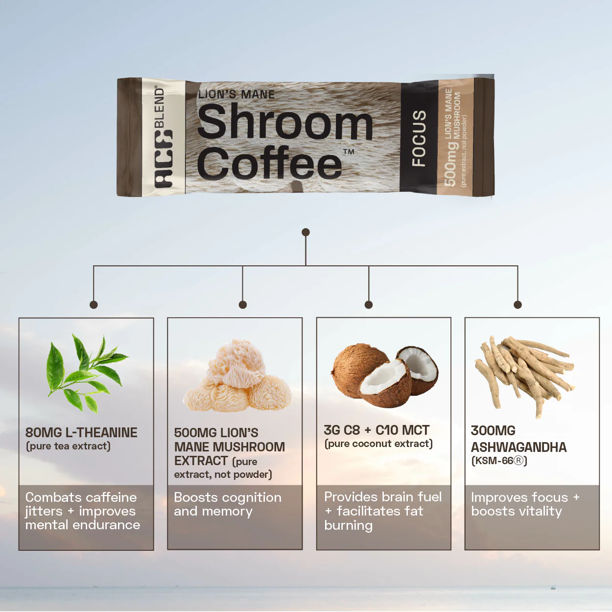 Functional Shroom Coffee Combo - Image 8
