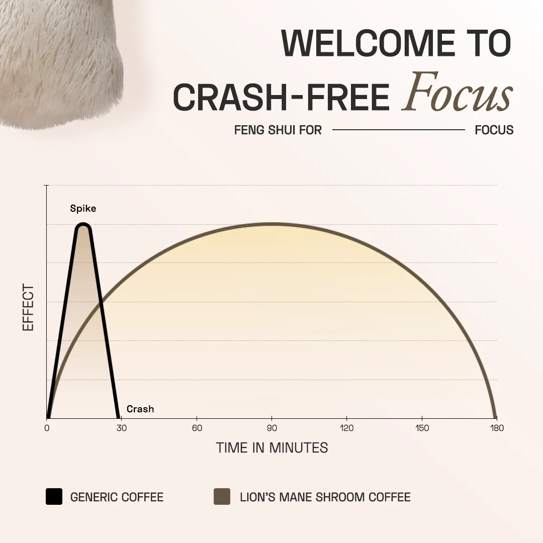 Lion's Mane Shroom Coffee - Image 4