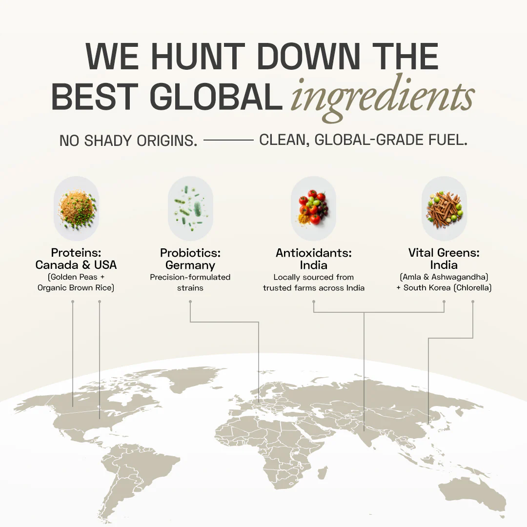 Premium Plant Protein | Daily - Image 19