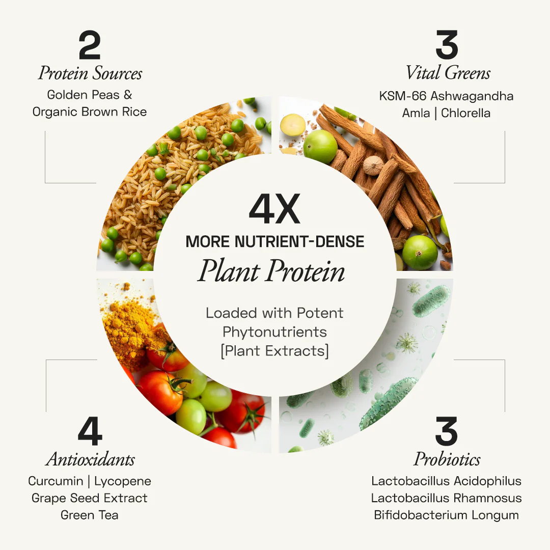 Premium Plant Protein | Daily - Image 64