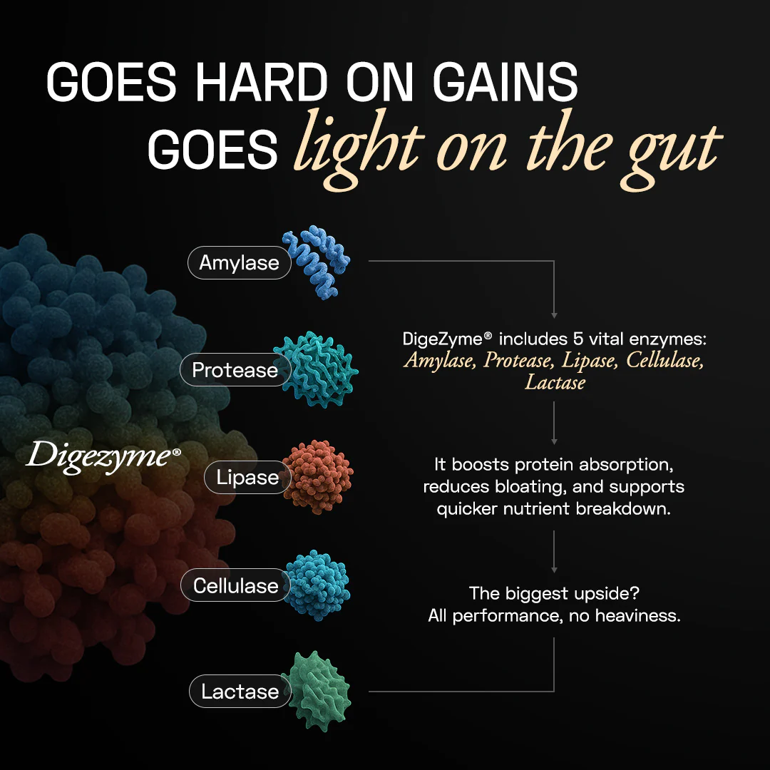Premium Plant Protein | Intense - Image 7