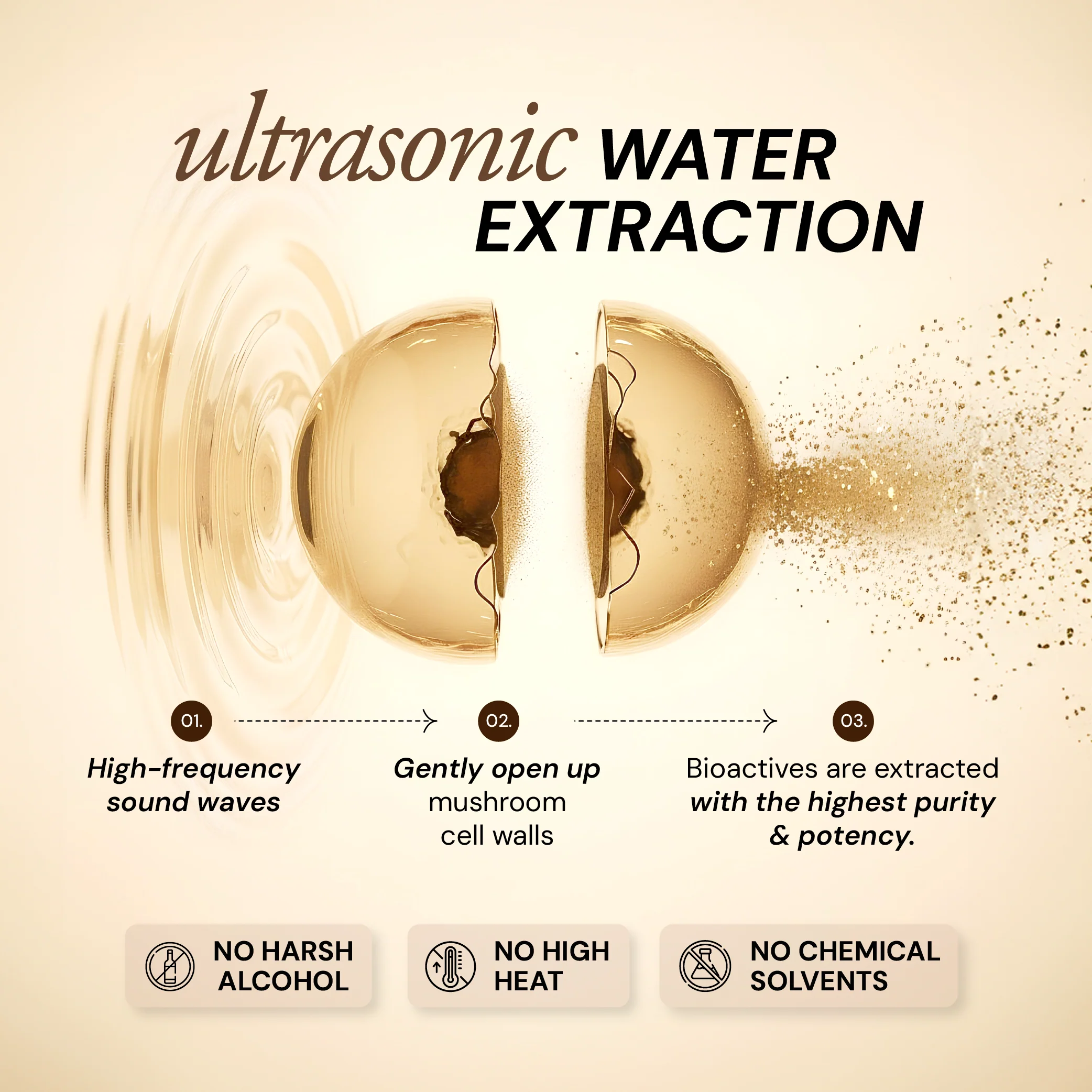 Pure Focus Shroom Concentrate - Image 5