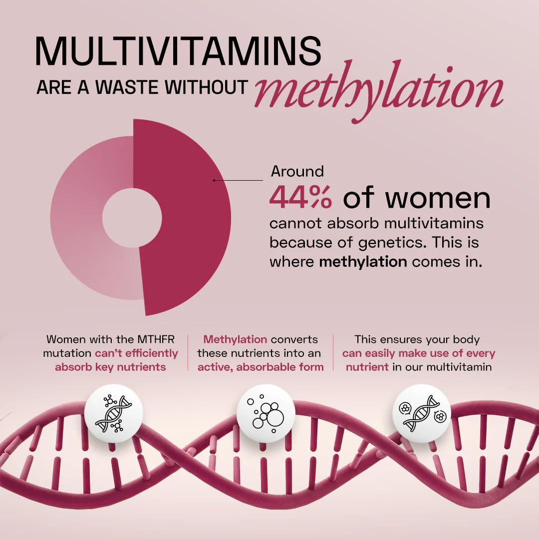 Women's Methylated Multivitamin - Image 4